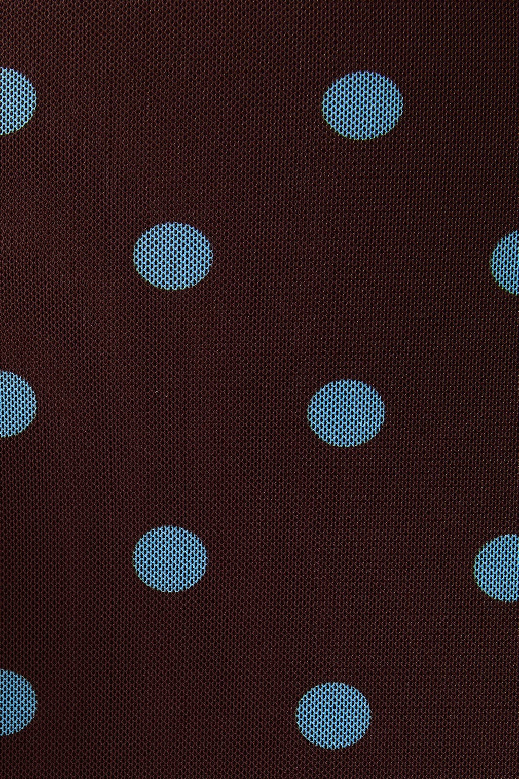 Rachel Mesh Polka Dot Skirt Set