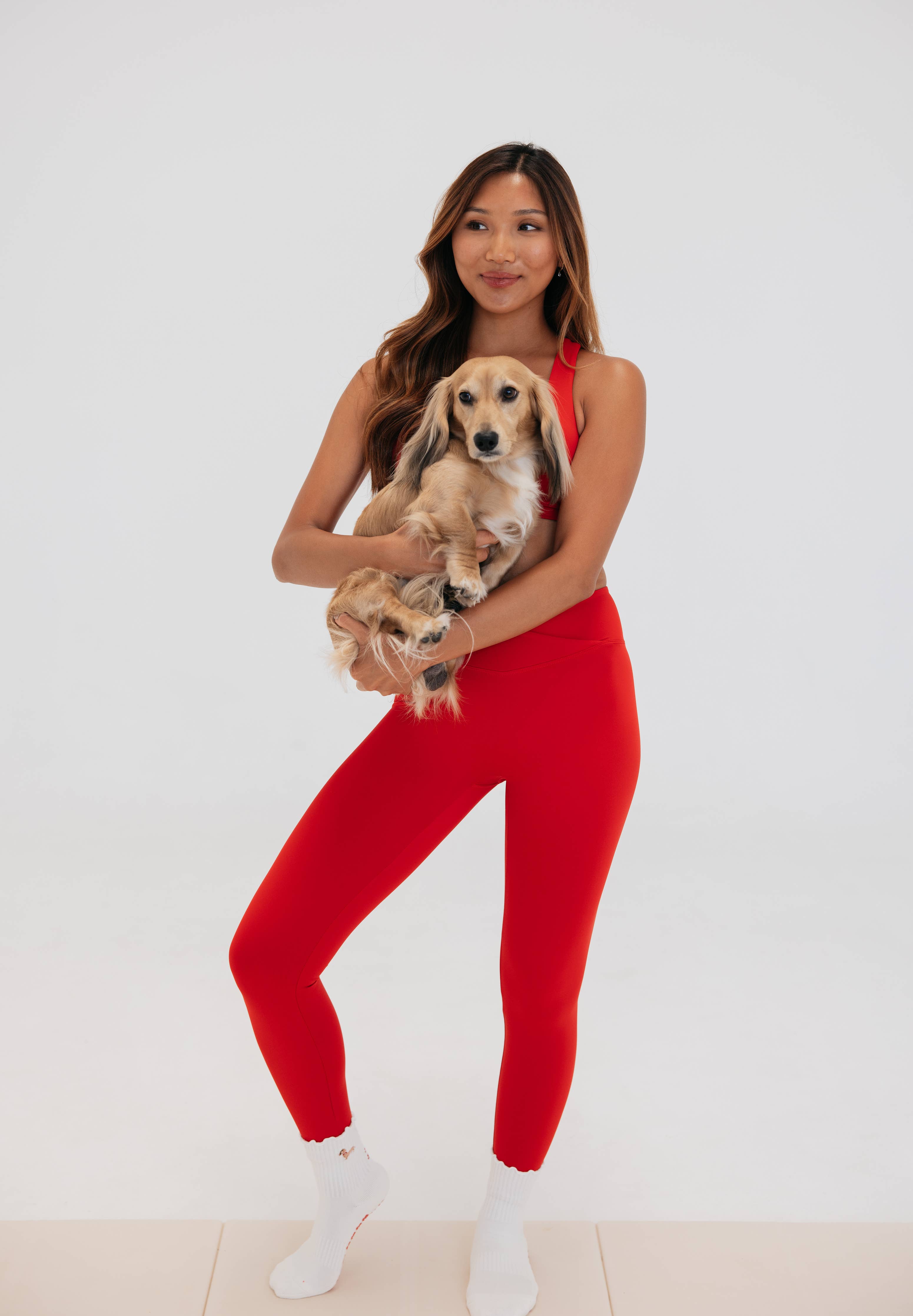 Dachshund Embroidered Pilates Socks Red Paw Grips