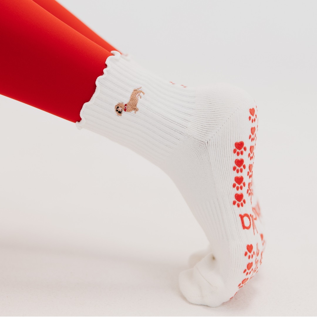 Dachshund Embroidered Pilates Socks Red Paw Grips