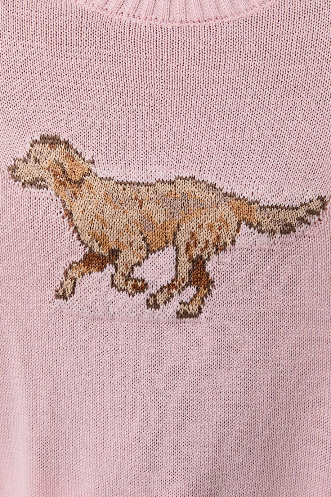 Retriever Sweater
