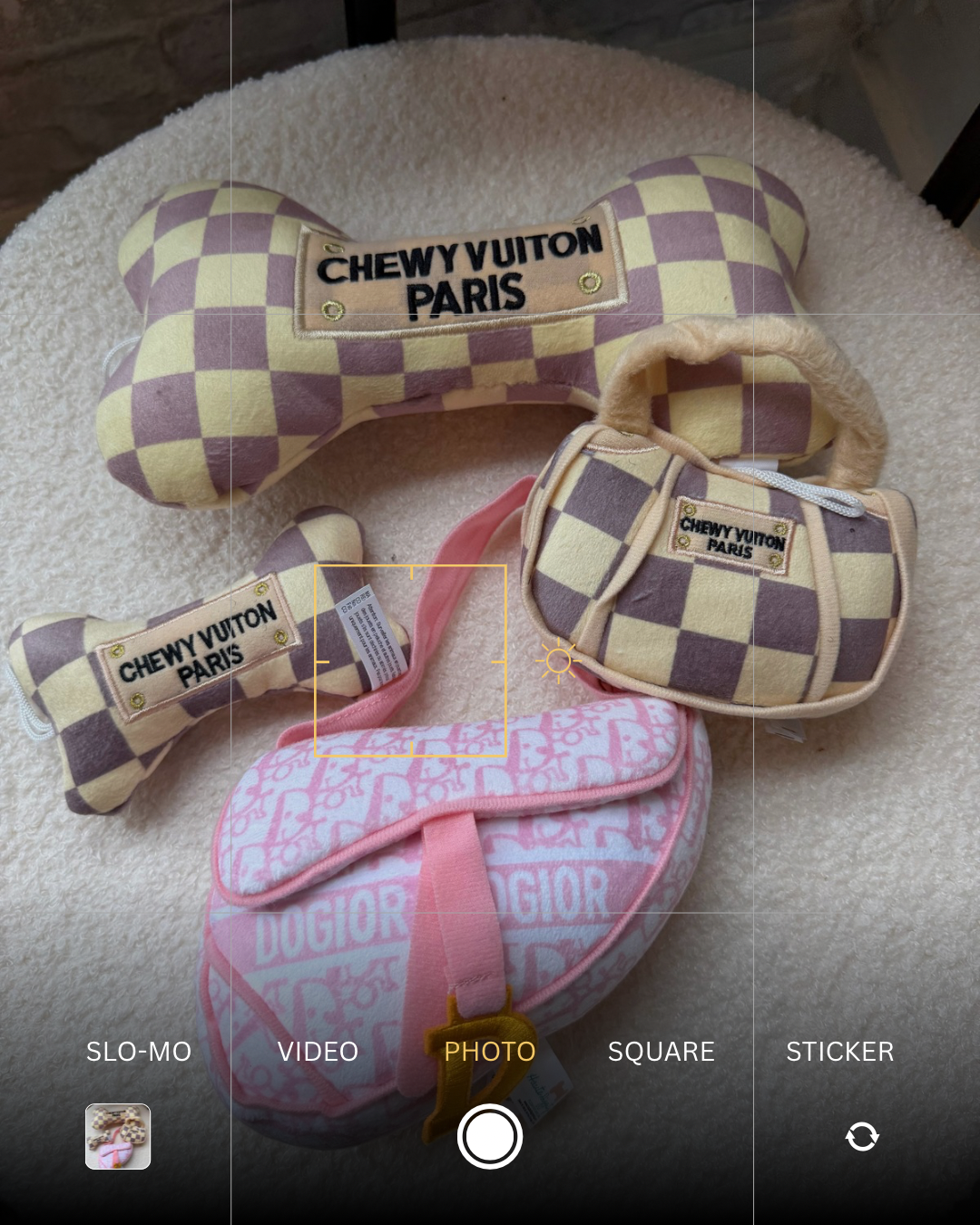 Dog toys