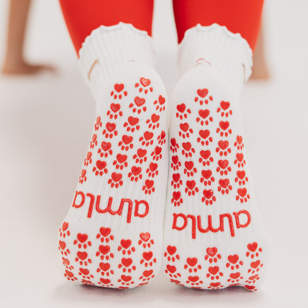 Dachshund Embroidered Pilates Socks Red Paw Grips