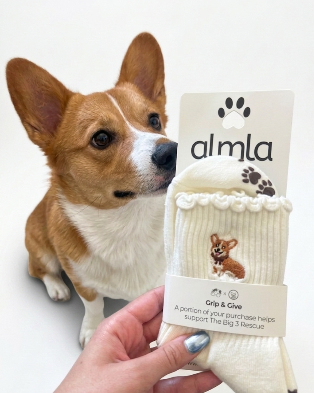 Corgi Embroidered Pilates Socks Brown Paw Grips