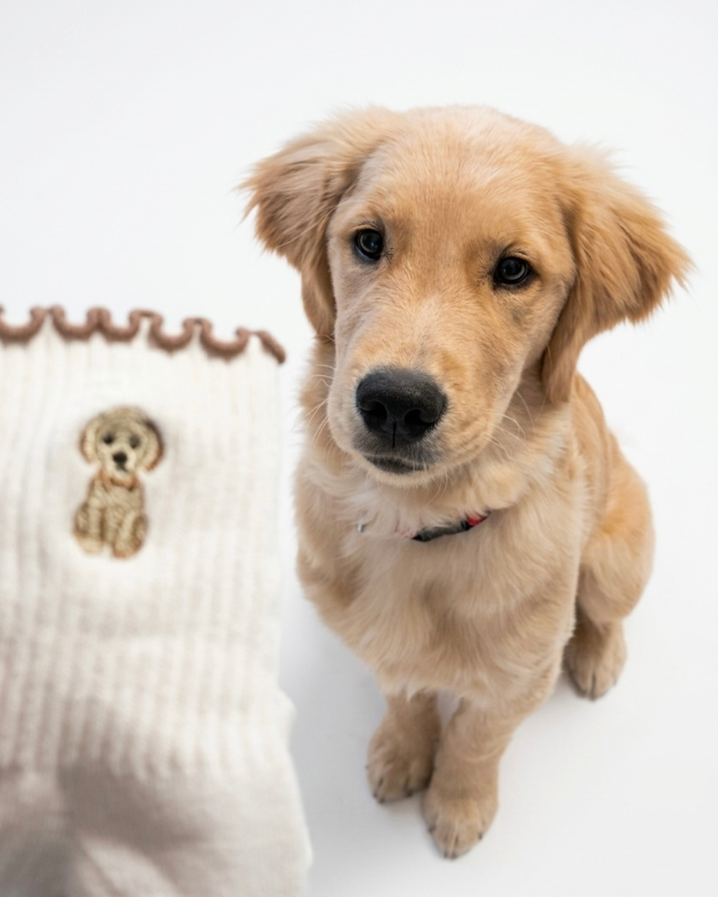 Golden Retriever Ruffle Pilates Socks Brown Paw Shaped Grips